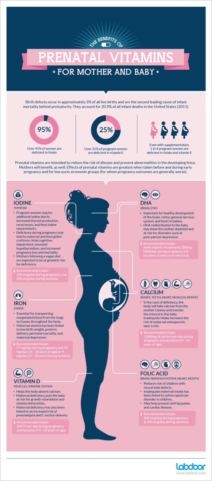 Useful Infographic on The Benefits Of Prenatal Vitamins For Mom And Baby – Labdoor Magazine